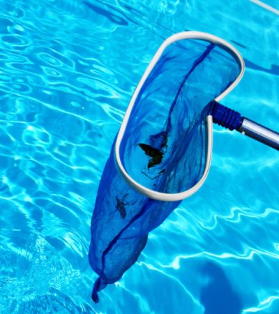 Pool services and Repairs